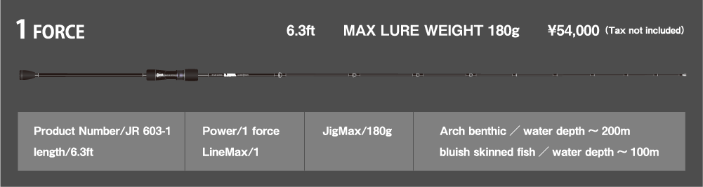 1 FORCE